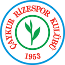 Escudo de Rizespor