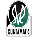Escudo de Ried