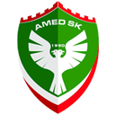 Escudo de Amed