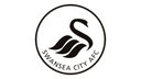 Escudo de Swansea